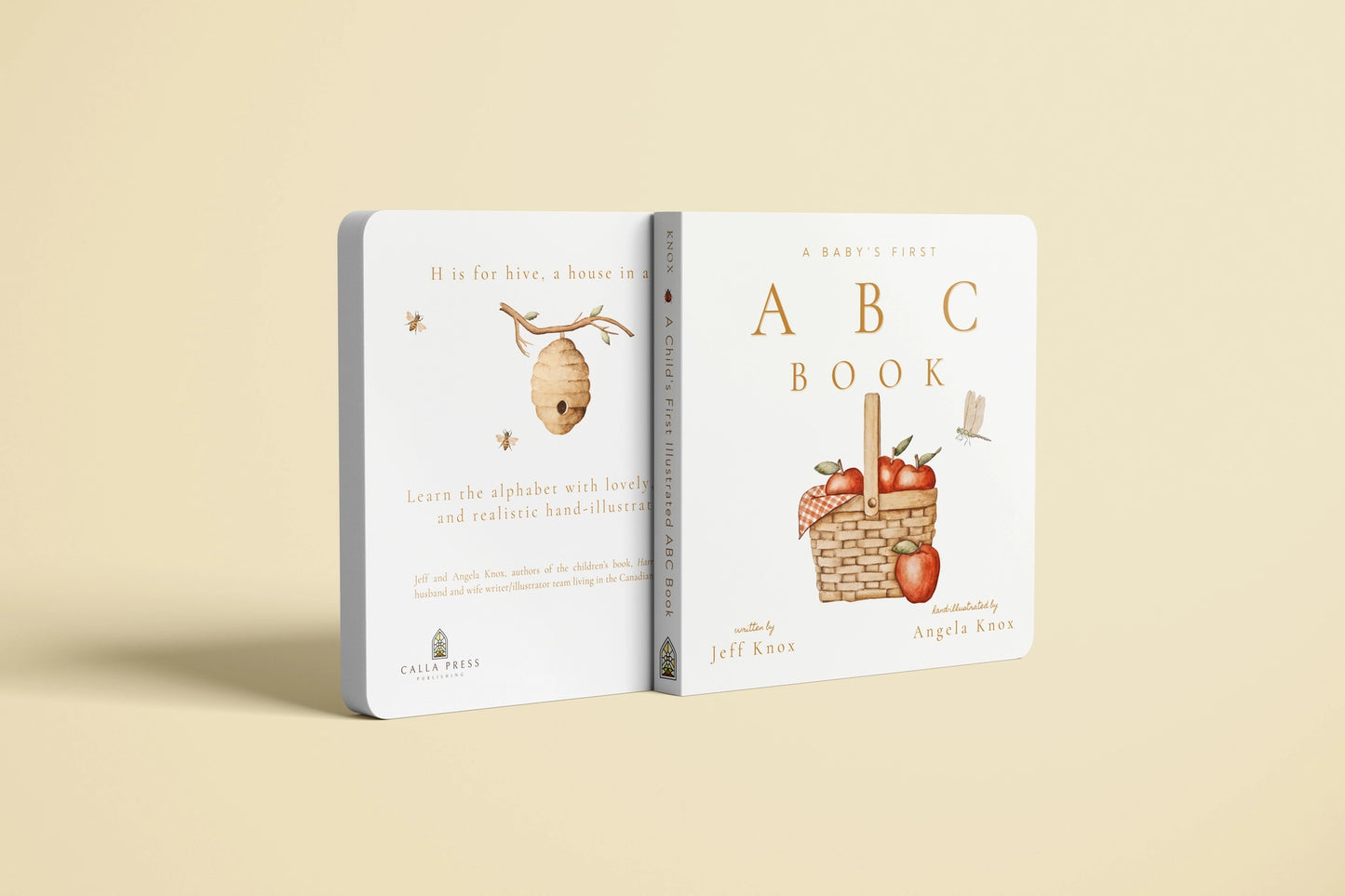 a child's first abc book