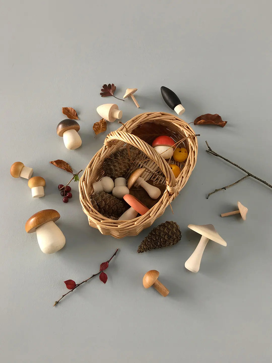 forest mushrooms