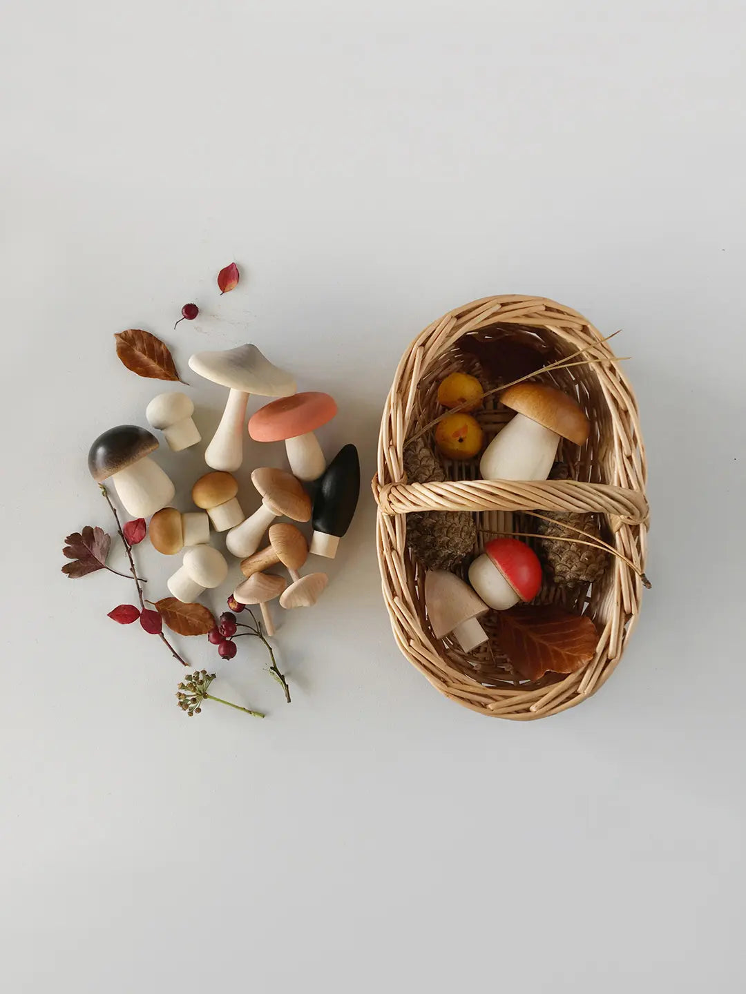 forest mushrooms