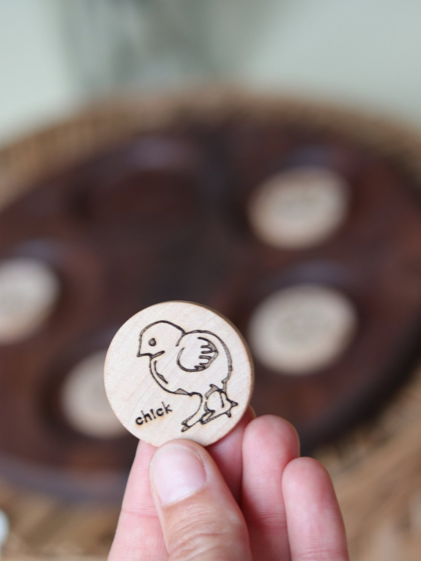 life cycle coins