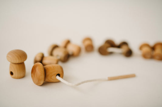 wooden lacing mushrooms
